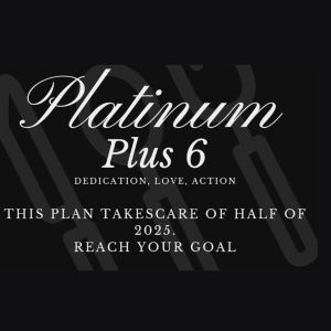 Platinum Plus 6